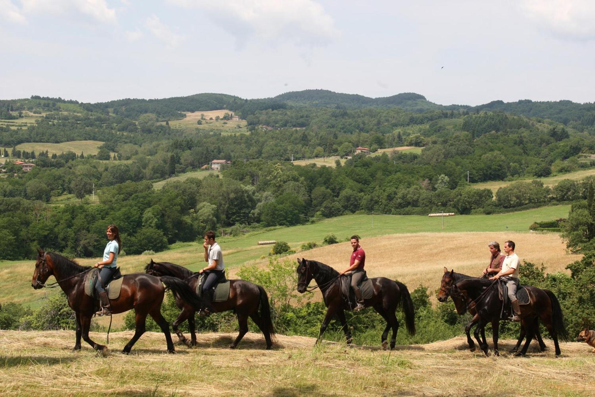 Agriturismo La Forra Cavriglia Exteriör bild