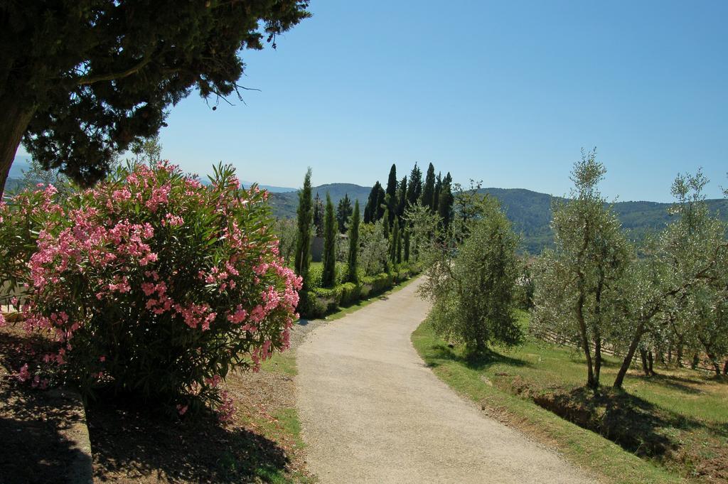 Agriturismo La Forra Cavriglia Exteriör bild